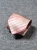 SD57_krawaty_24.jpg