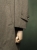 SD68_płaszcze_09.jpg