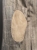 SD71_marynarki_53.jpg