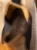 SD79_buty_070.jpg