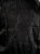 SD_Drop_41_4.jpg
